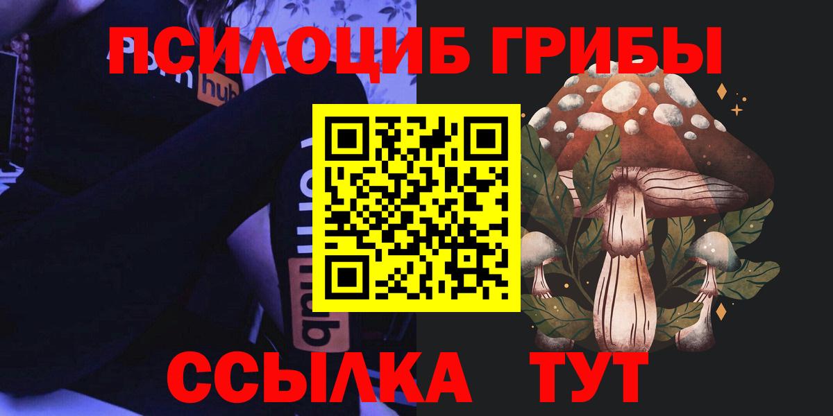 Галлюциногенные грибы Psilocybe  Вход с VPN  сколько стоит  Михайловск 